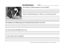 Brillenpinguin-Fragen-2.pdf